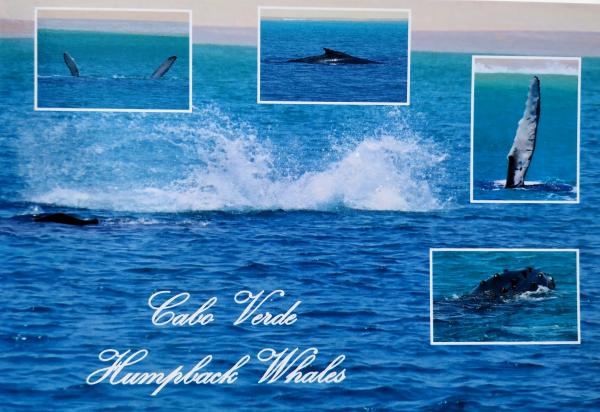Cape Verde postcard