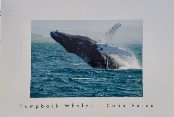 Cape Verde postcard
