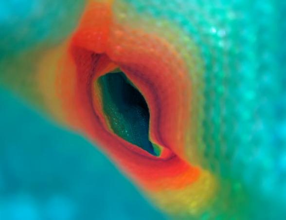 Rainbow void
