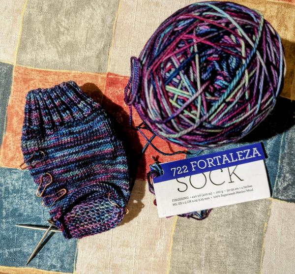 Fortaleza socks