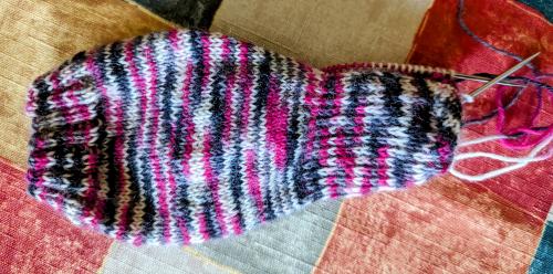 Abby socks
